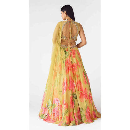 Basanti Kapde aur Koffee The Wild Marigold Lehenga with Blouse and Dupatta