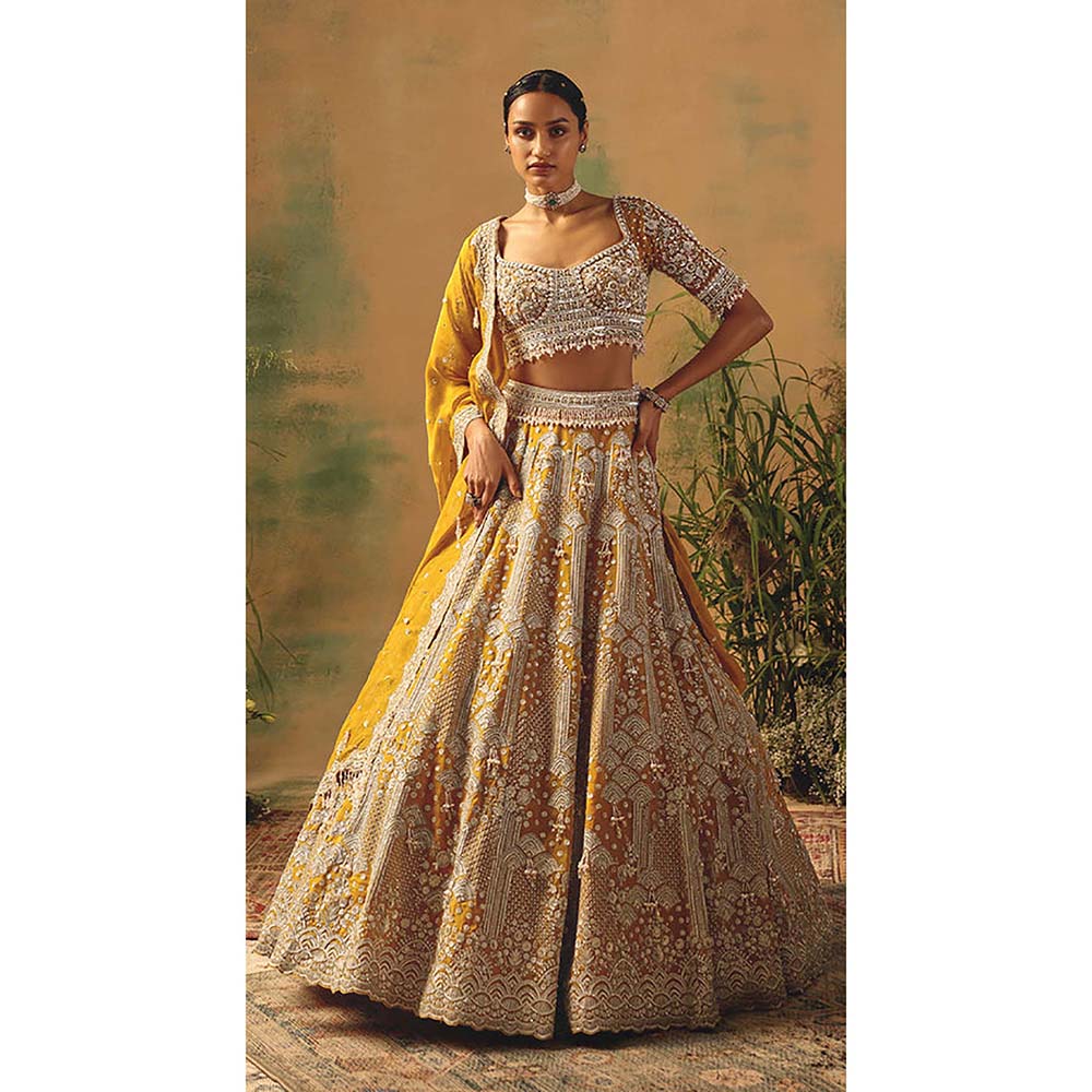 Basanti Kapde aur Koffee The Enchanted Citrine Lehenga with Blouse and Dupatta