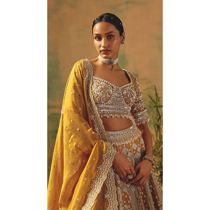 Basanti Kapde aur Koffee The Enchanted Citrine Lehenga with Blouse and Dupatta