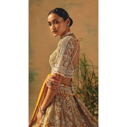 Basanti Kapde aur Koffee The Enchanted Citrine Lehenga with Blouse and Dupatta