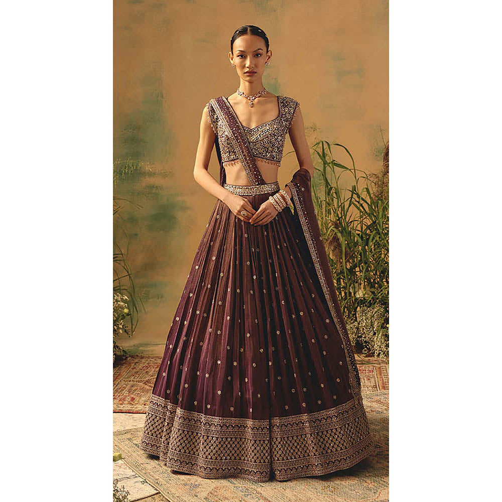 Basanti Kapde aur Koffee The Winewood Whisper Lehenga with Blouse and Dupatta
