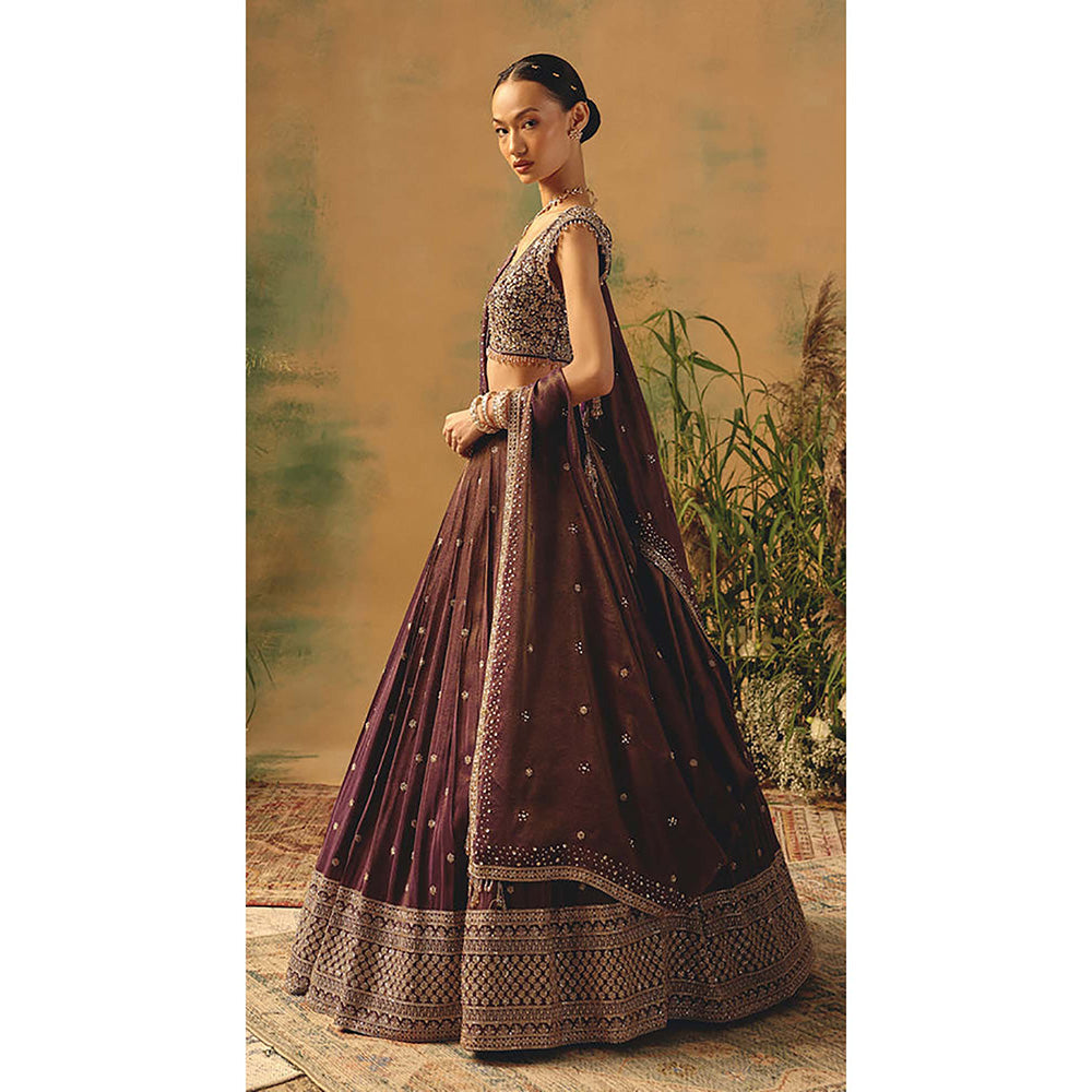 Basanti Kapde aur Koffee The Winewood Whisper Lehenga with Blouse and Dupatta