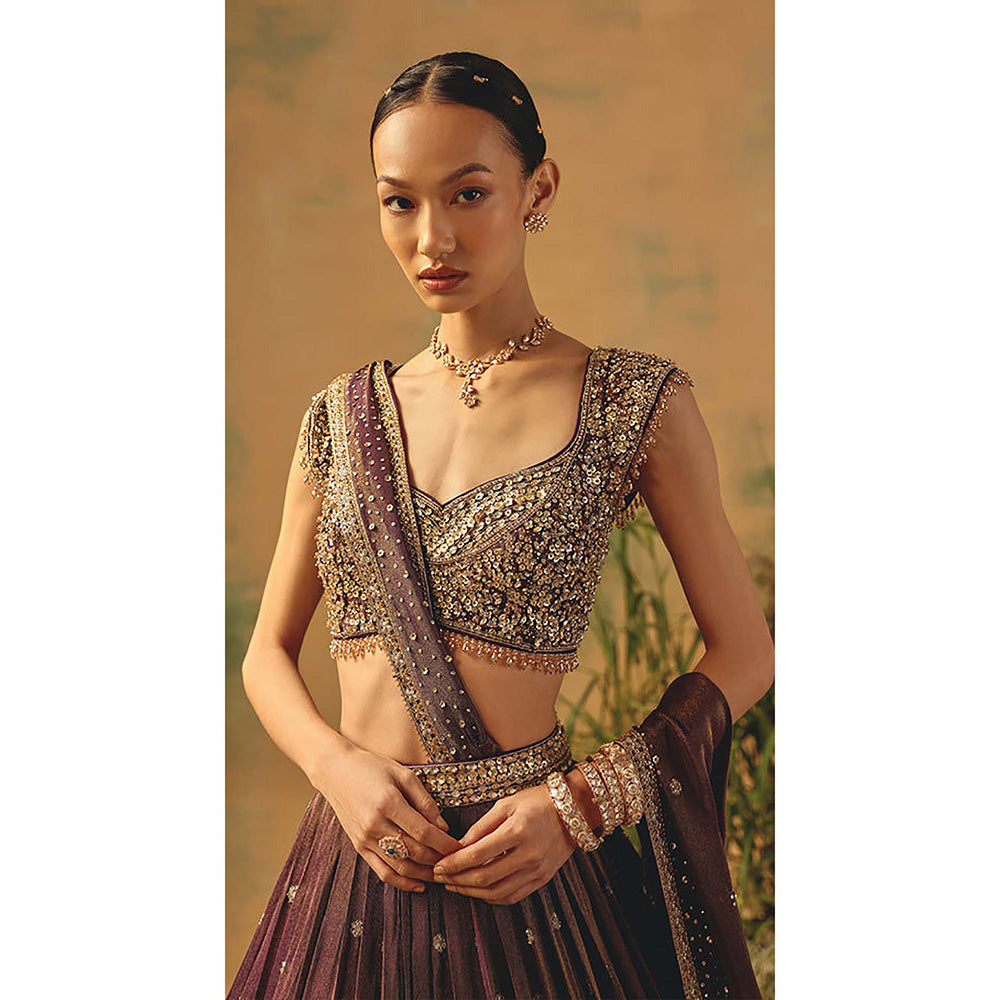 Basanti Kapde aur Koffee The Winewood Whisper Lehenga with Blouse and Dupatta