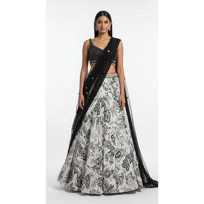 Basanti Kapde aur Koffee White Crepe Embroidered Lehenga with Blouse and Dupatta