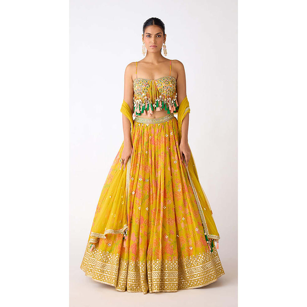 Basanti Kapde aur Koffee The Amber Radiance Lehenga with Blouse and Dupatta