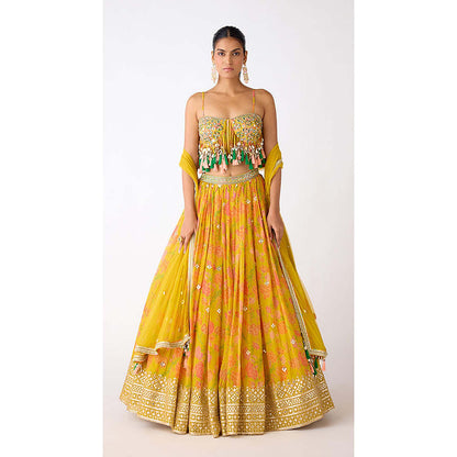 Basanti Kapde aur Koffee The Amber Radiance Lehenga with Blouse and Dupatta