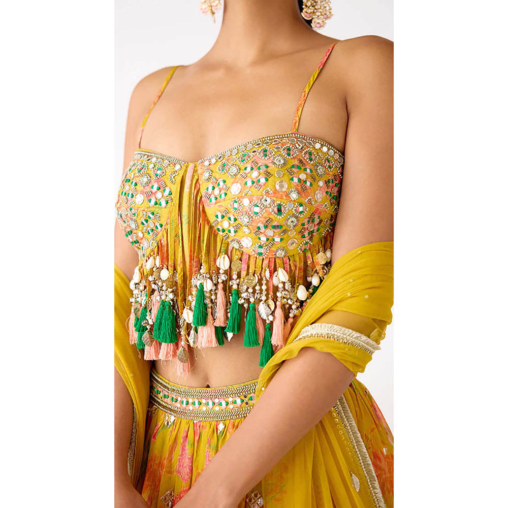 Basanti Kapde aur Koffee The Amber Radiance Lehenga with Blouse and Dupatta