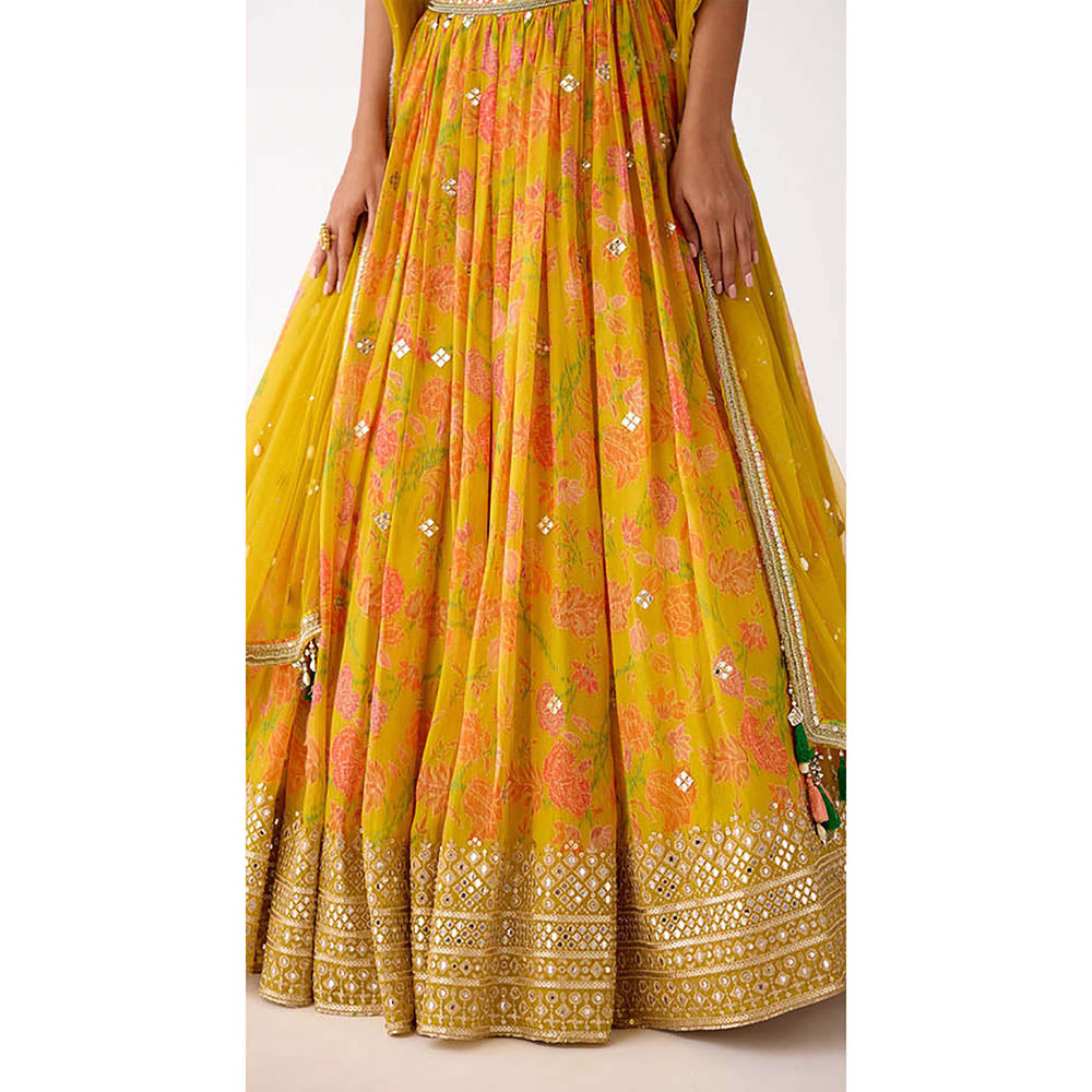Basanti Kapde aur Koffee The Amber Radiance Lehenga with Blouse and Dupatta