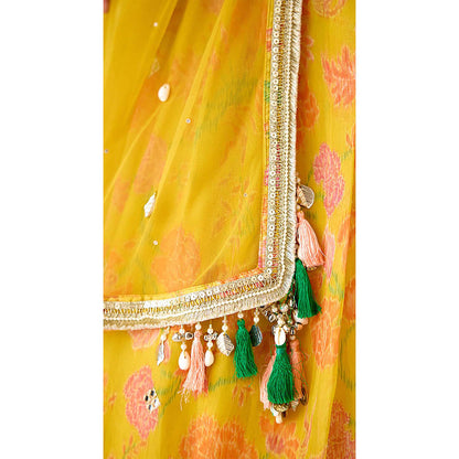 Basanti Kapde aur Koffee The Amber Radiance Lehenga with Blouse and Dupatta