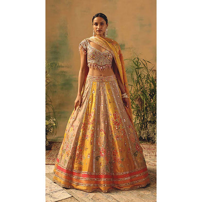Basanti Kapde aur Koffee The Ochre Reverie Lehenga with Blouse and Dupatta