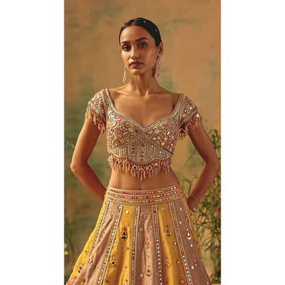 Basanti Kapde aur Koffee The Ochre Reverie Lehenga with Blouse and Dupatta