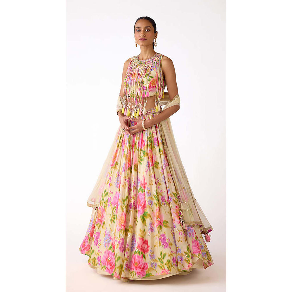 Basanti Kapde aur Koffee Ivory Chinon Embroidered Lehenga with Corset Blouse and Dupatta