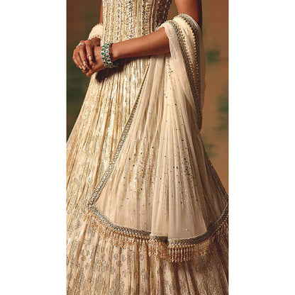 Basanti Kapde aur Koffee The Morning Dew Lehenga with Corset Blouse and Dupatta
