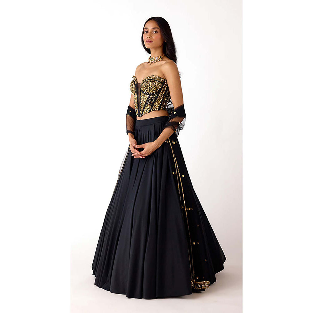 Basanti Kapde aur Koffee Black Viscose Lycra Embroidered Lehenga with Corset Blouse and Dupatta