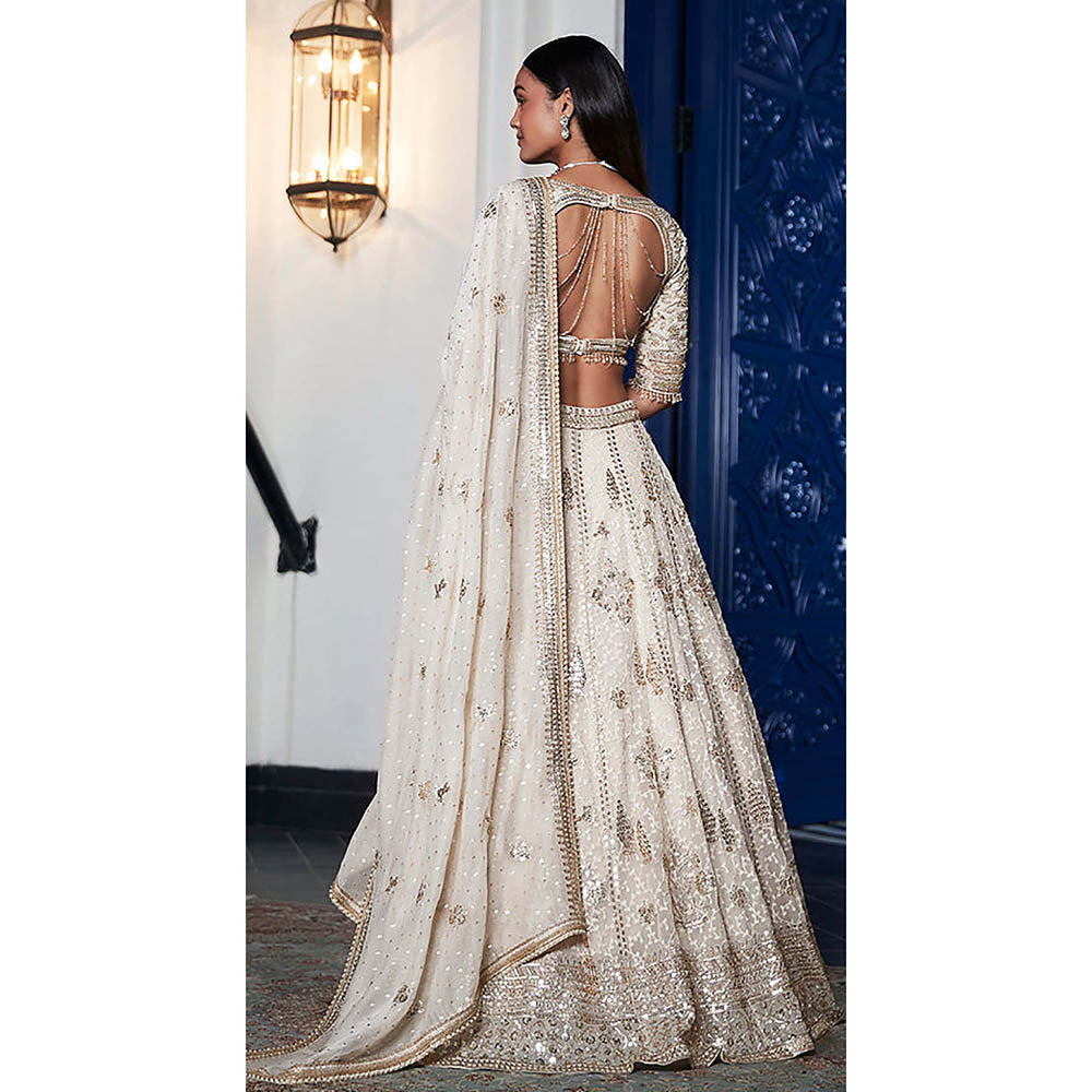 Basanti Kapde aur Koffee Ivory Organza Embroidered Lehenga with Blouse and Dupatta