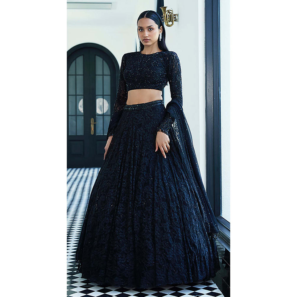Basanti Kapde aur Koffee Black Chantilly Net Embroidered Lehenga with Blouse and Dupatta