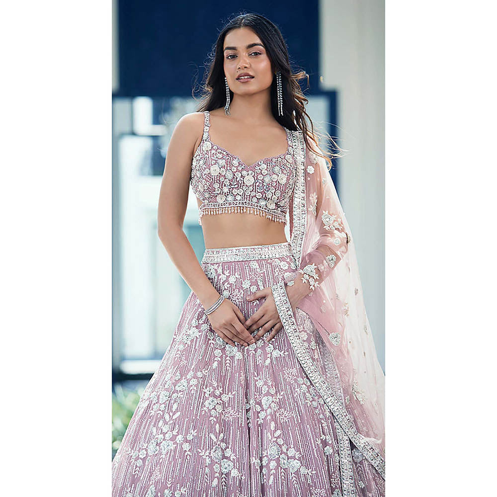 Basanti Kapde aur Koffee Mauve Organza Embroidered Lehenga with Blouse and Dupatta