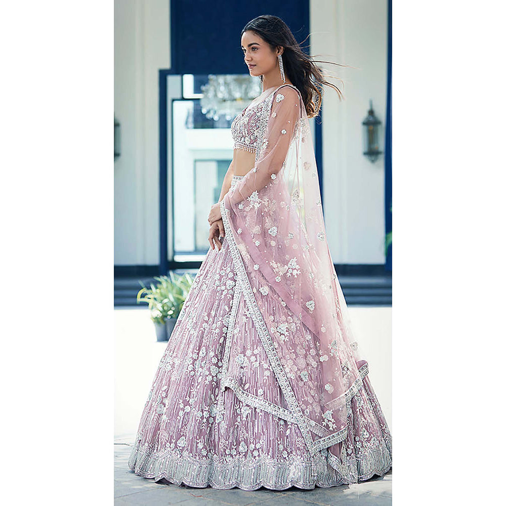 Basanti Kapde aur Koffee Mauve Organza Embroidered Lehenga with Blouse and Dupatta
