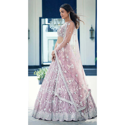 Basanti Kapde aur Koffee Mauve Organza Embroidered Lehenga with Blouse and Dupatta