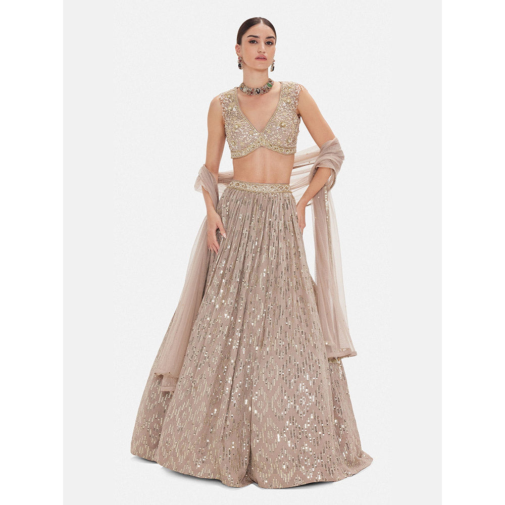Basanti Kapde aur Koffee The Astral Refelection Brown Lehenga with Stitched Blouse and Dupatta