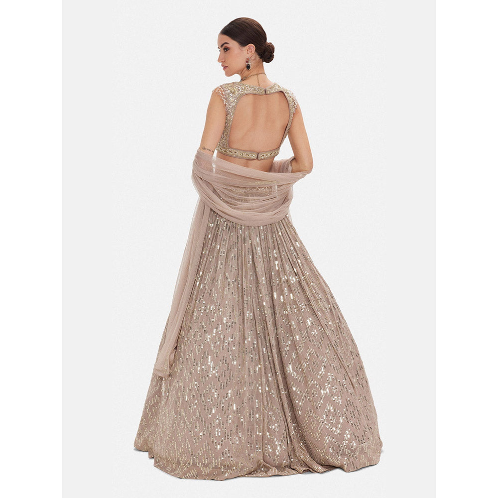 Basanti Kapde aur Koffee The Astral Refelection Brown Lehenga with Stitched Blouse and Dupatta