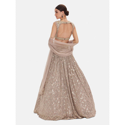 Basanti Kapde aur Koffee The Astral Refelection Brown Lehenga with Stitched Blouse and Dupatta