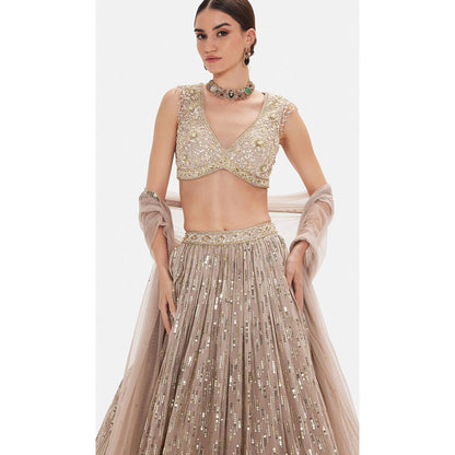 Basanti Kapde aur Koffee The Astral Refelection Brown Lehenga with Stitched Blouse and Dupatta