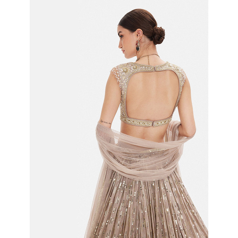 Basanti Kapde aur Koffee The Astral Refelection Brown Lehenga with Stitched Blouse and Dupatta