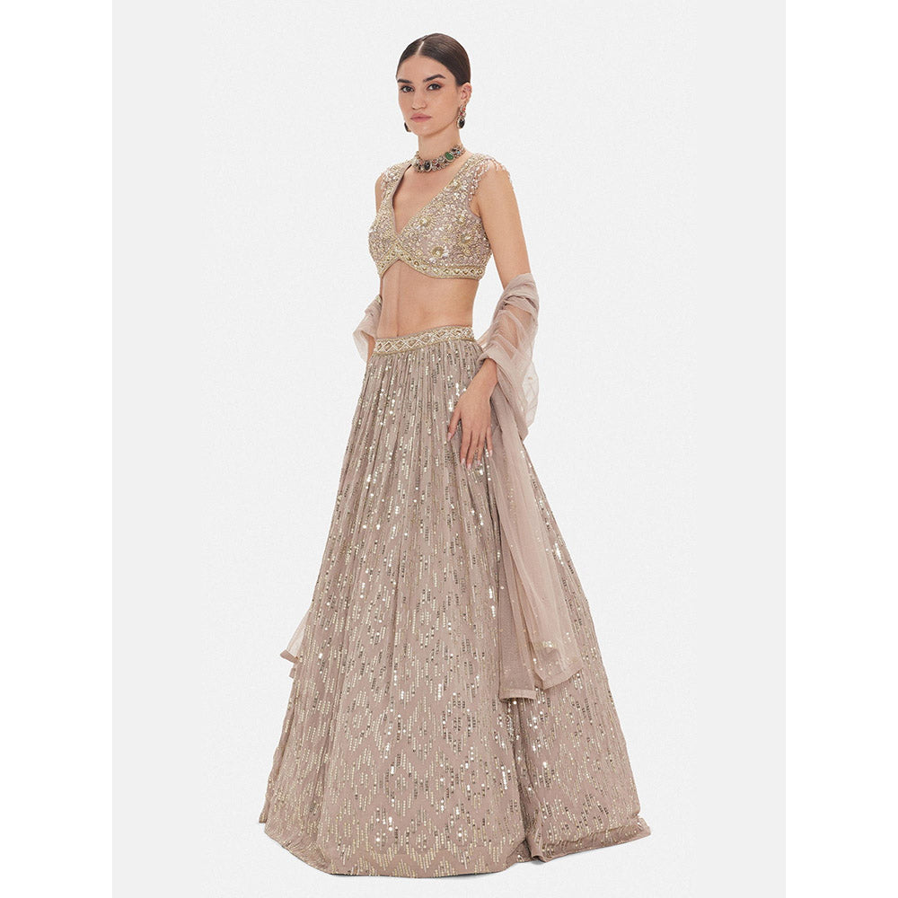Basanti Kapde aur Koffee The Astral Refelection Brown Lehenga with Stitched Blouse and Dupatta