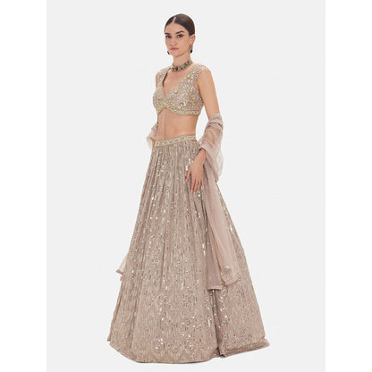 Basanti Kapde aur Koffee The Astral Refelection Brown Lehenga with Stitched Blouse and Dupatta