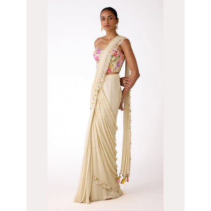 Basanti Kapde aur Koffee The Camilia Grace Draped Saree with Corset Stitched Blouse