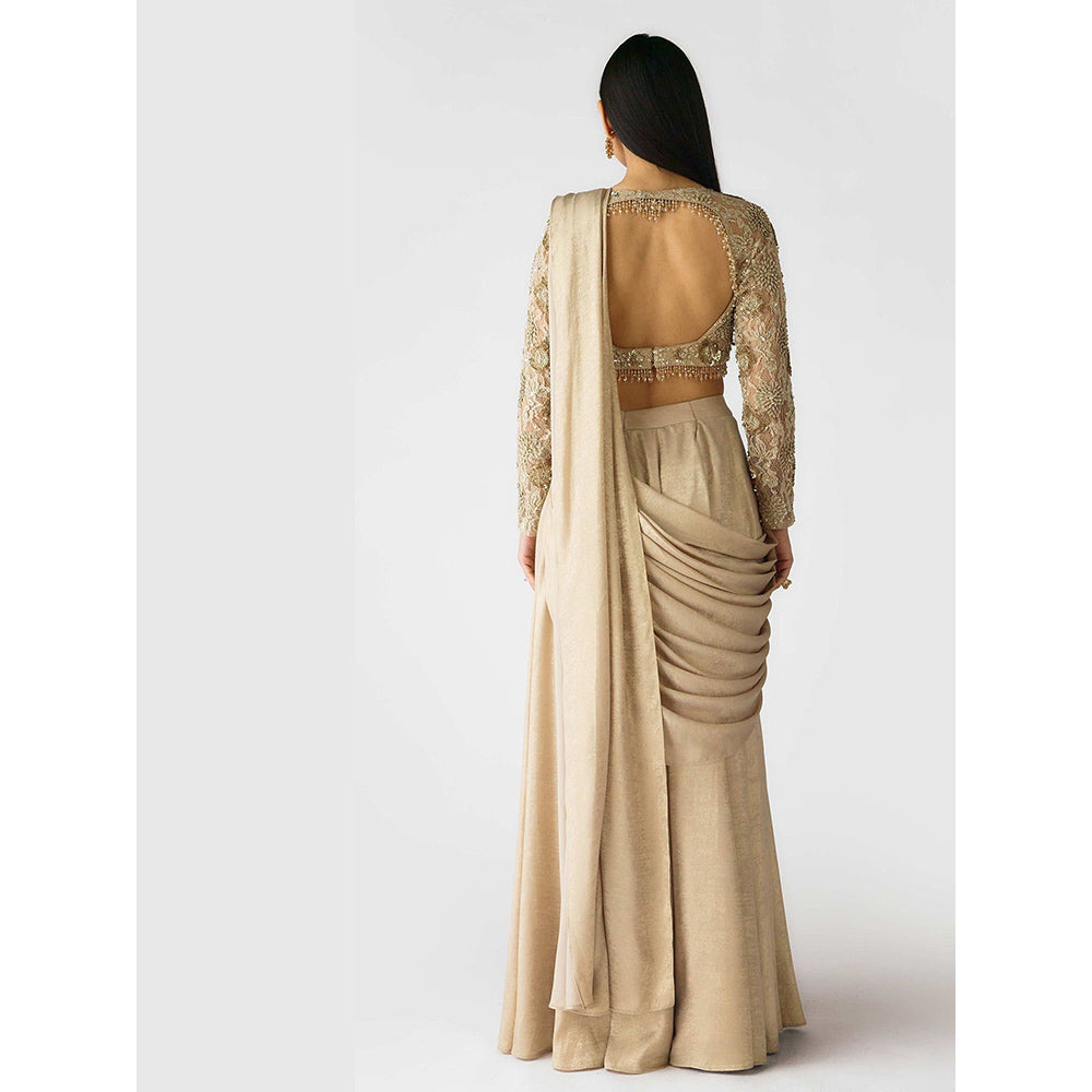 Basanti Kapde aur Koffee The Champagne Moonlight Draped Saree with Stitched Blouse