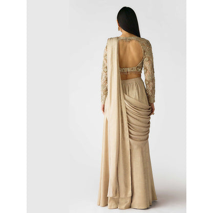 Basanti Kapde aur Koffee The Champagne Moonlight Draped Saree with Stitched Blouse