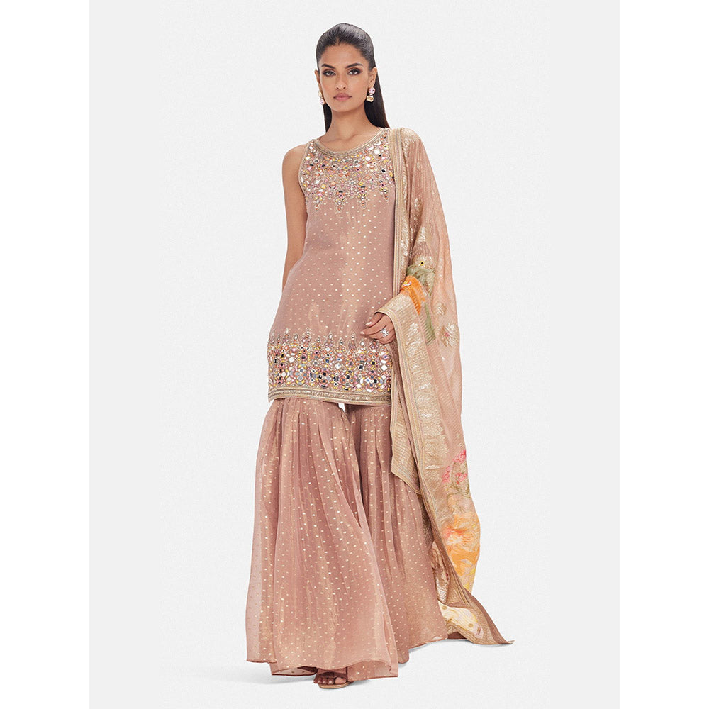 Basanti Kapde aur Koffee The Rose Cendree Embroidered Kurta with Sharara and Dupatta