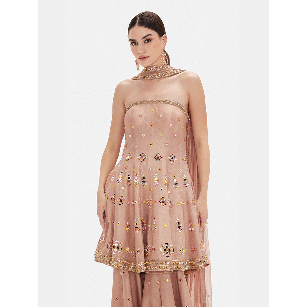 Basanti Kapde aur Koffee The Ethereal Petal Embroidered Kurta with Sharara and Dupatta