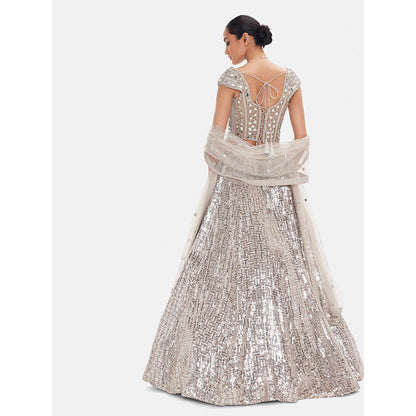 Basanti Kapde aur Koffee The Mist & Mirror Lehenga And Stitched Blouse With Dupatta
