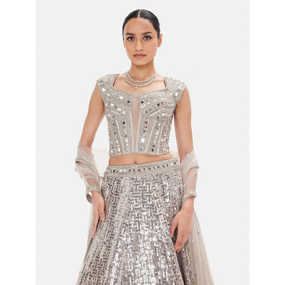 Basanti Kapde aur Koffee The Mist & Mirror Lehenga And Stitched Blouse With Dupatta
