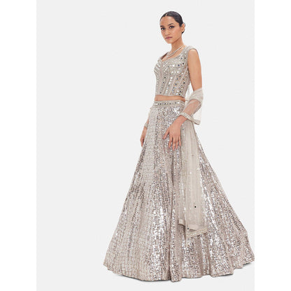 Basanti Kapde aur Koffee The Mist & Mirror Lehenga And Stitched Blouse With Dupatta