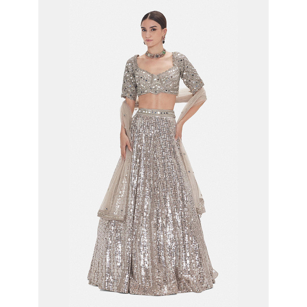 Basanti Kapde aur Koffee The Silver Odyssey Lehenga And Stitched Blouse With Dupatta