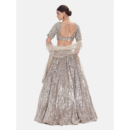 Basanti Kapde aur Koffee The Silver Odyssey Lehenga And Stitched Blouse With Dupatta
