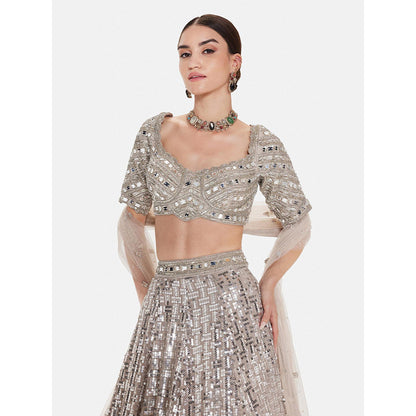 Basanti Kapde aur Koffee The Silver Odyssey Lehenga And Stitched Blouse With Dupatta
