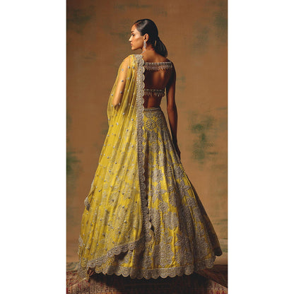 Basanti Kapde aur Koffee The Solstice Fern Lehenga And Stitched Blouse With Dupatta