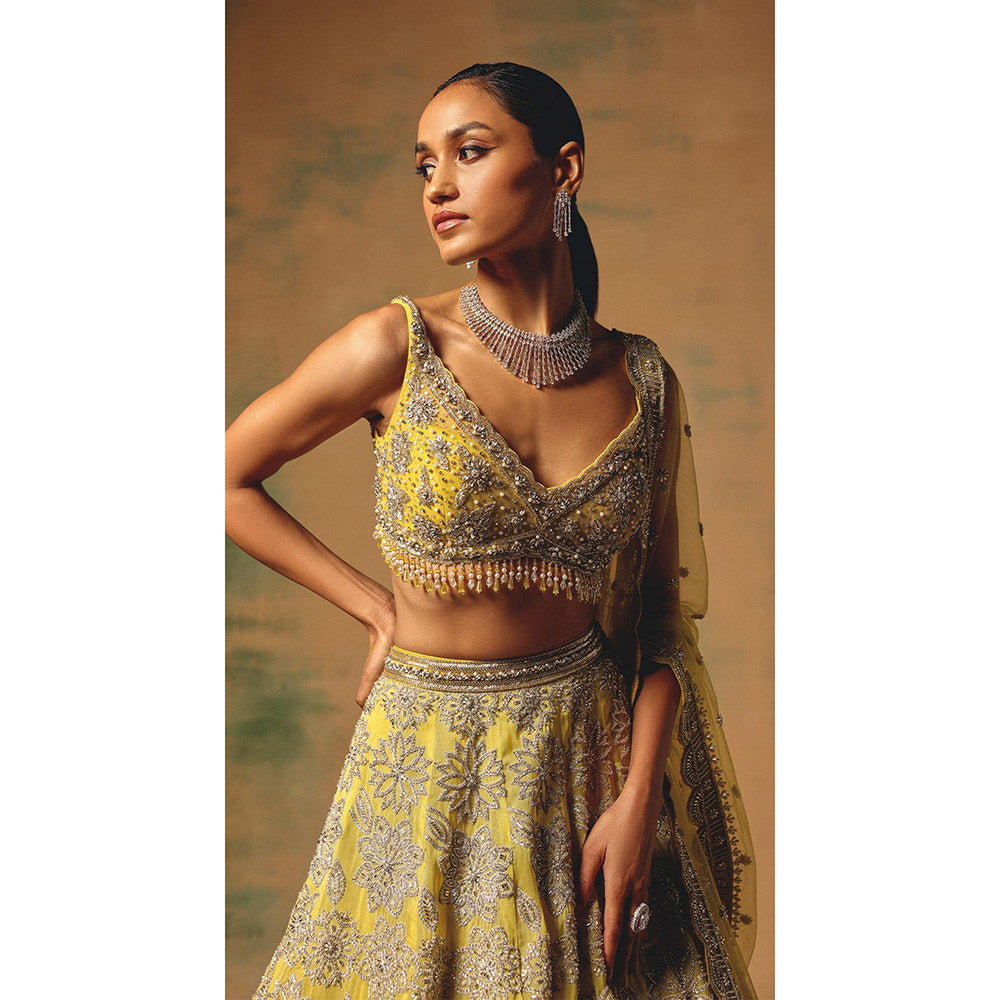 Basanti Kapde aur Koffee The Solstice Fern Lehenga And Stitched Blouse With Dupatta
