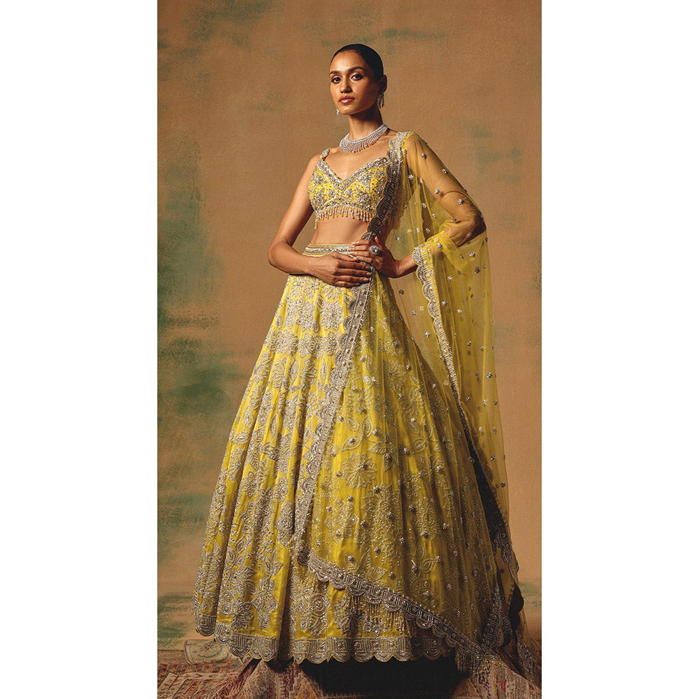 Basanti Kapde aur Koffee The Solstice Fern Lehenga And Stitched Blouse With Dupatta