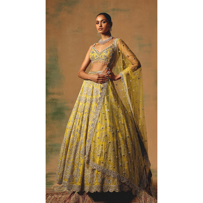 Basanti Kapde aur Koffee The Solstice Fern Lehenga And Stitched Blouse With Dupatta