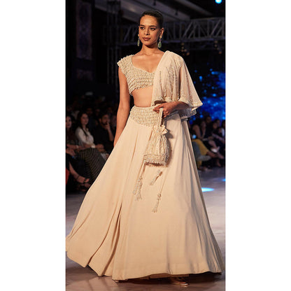 Basanti Kapde aur Koffee The Stardust Pearl Lehenga And Stitched Blouse With Dupatta