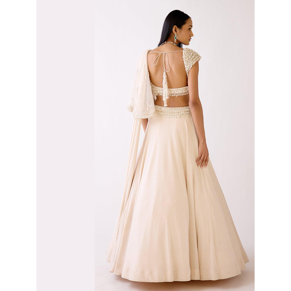 Basanti Kapde aur Koffee The Stardust Pearl Lehenga And Stitched Blouse With Dupatta