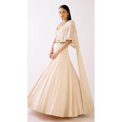 Basanti Kapde aur Koffee The Stardust Pearl Lehenga And Stitched Blouse With Dupatta