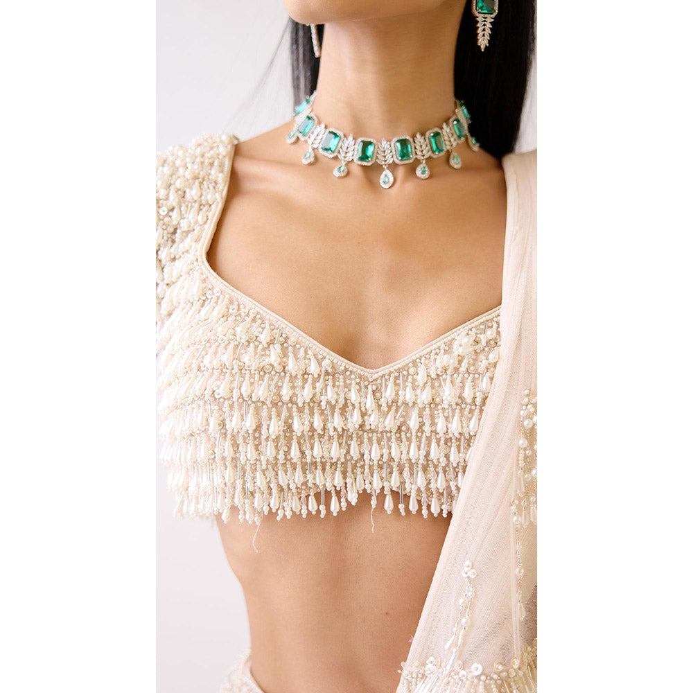 Basanti Kapde aur Koffee The Stardust Pearl Lehenga And Stitched Blouse With Dupatta