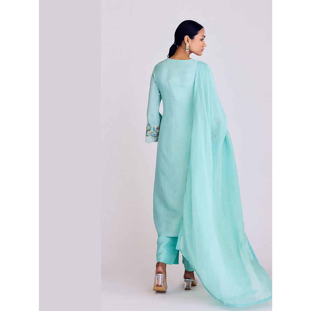 Basanti Kapde aur Koffee Aqua Tissue Kurta and Pant with Dupatta